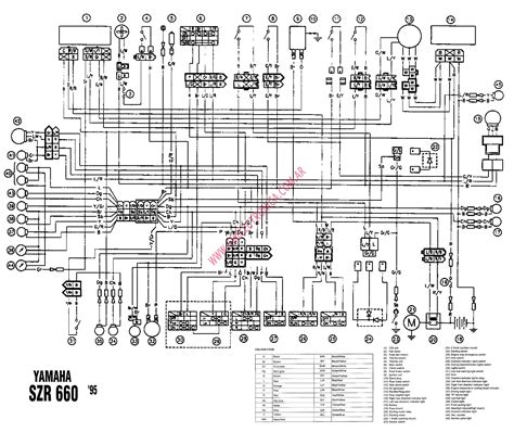 Deciphering Color Codes in the Grizzly 660 Diagram